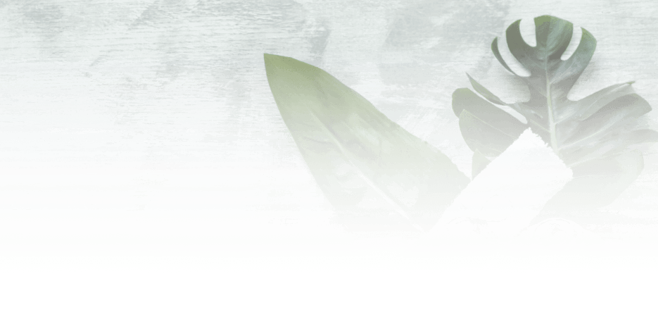 Seawoman Creative Media / Sandra Sealy