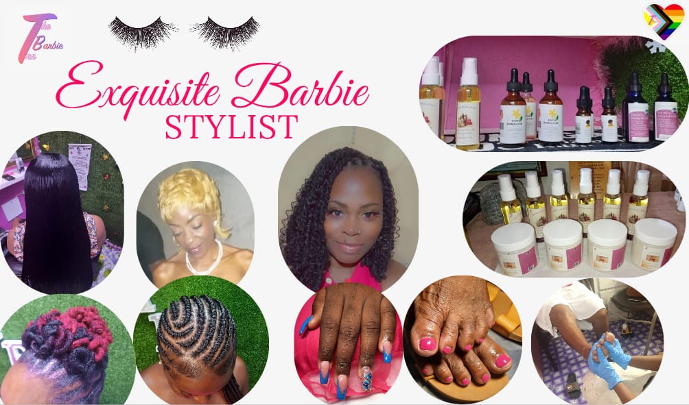 Exquisite Barbie Stylist
